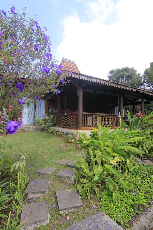 Jadul Village Resort Lembang Buitenkant foto
